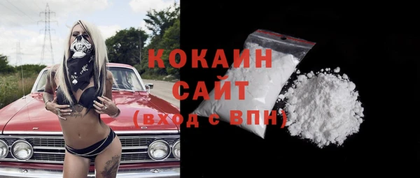 твердый Арсеньев