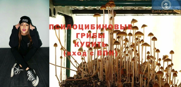 герыч Касимов
