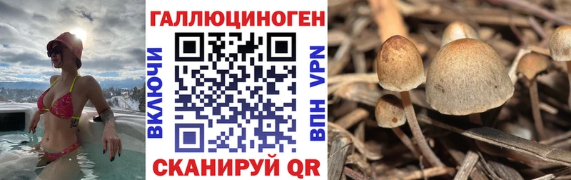 Галлюциногенные грибы MAGIC MUSHROOMS  Покровск 
